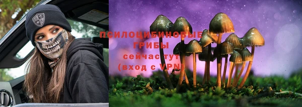 Альфа ПВП Алексеевка