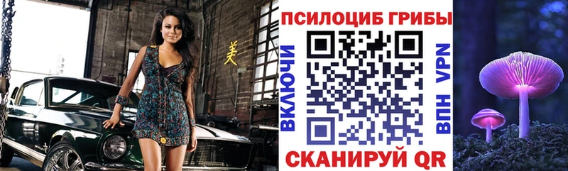 Псилоцибиновые грибы Magic Shrooms  магазин  наркотиков  Нерехта 