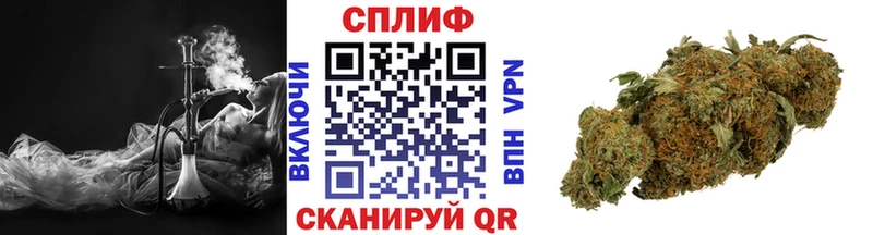 Бошки Шишки планчик  Нерехта 